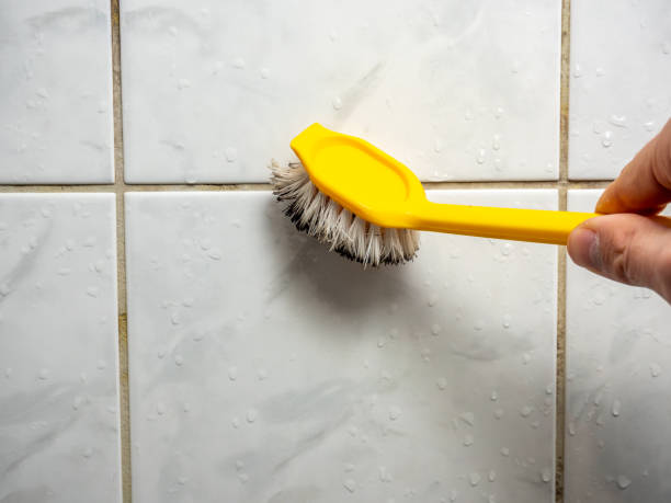Best Certified Mold Removal  in Mead, CO