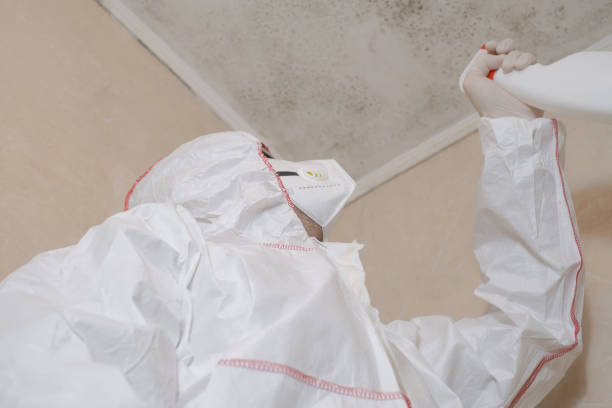 Best Residential Mold Removal  in Mead, CO